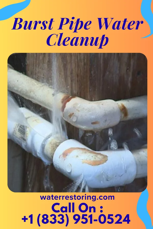Burst Pipe Water Cleanup in Ogallala, NE