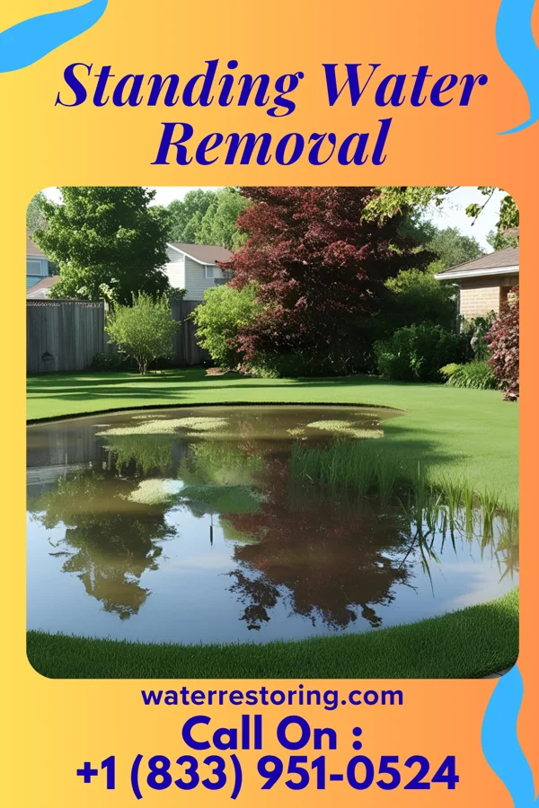 Standing Water Removal in Ogallala, NE
